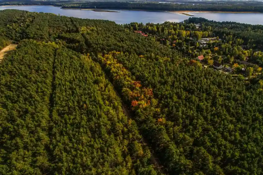 Aerial Work Platform Selection for Forestry: Height, Ground Pressure, and Reach