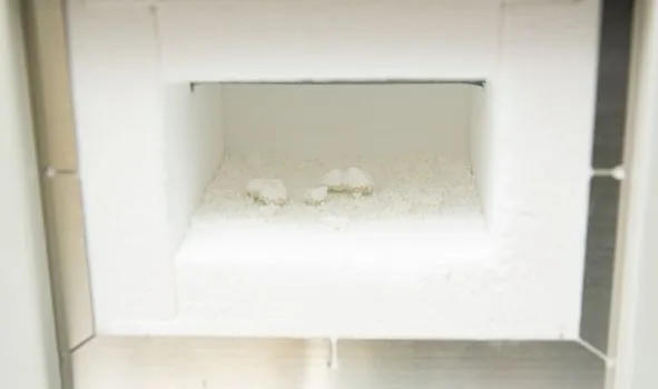 Alumina Ceramic advantages and disadvantages - Failure Modes and What They Tell You