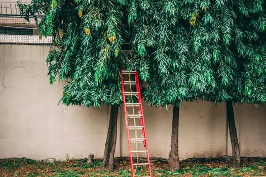 Aluminum Ladder selection for masonry - Comparison: Aluminum vs Fiberglass vs Wood for Masonry