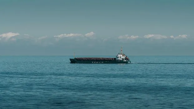 can ammonia and methanol really decarbonize shipping? - Bottom line: can they really decarbonize shipping?