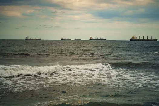 can ammonia and methanol really decarbonize shipping? - Which ship types and trades the two fuels actually fit