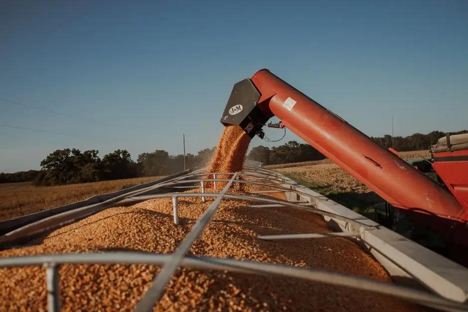 Asphalt Paver Auger vs Screed: Function Split, Specs, and Selection