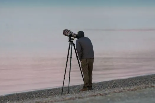 automatic level purpose for establishing a horizontal line of sight - Anatomy of an Automatic Level: From Tripod Base to Eyepiece Crosshair