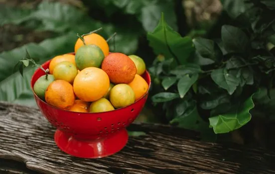 Basket Strainer advantages and disadvantages - Basket vs Y Strainer: Decision Criteria Compared