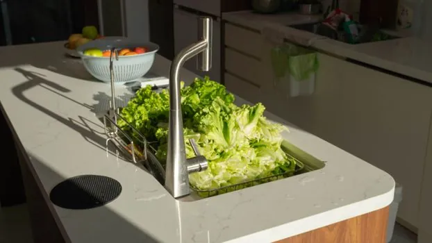 Basket Strainer advantages and disadvantages - Where Basket Strainers Are the Right Pick, and Where They Are Not