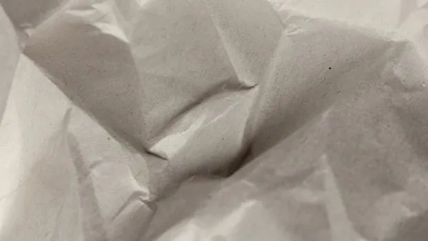 best Synthetic Resin for pulp and paper - Use Cases: Tissue, Packaging, and Nursery Bags