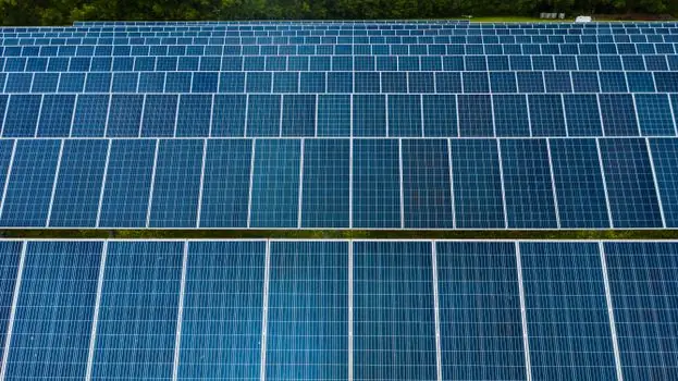 bifacial module share 2026 - Decision criteria: when bifacial pays, and when it does not