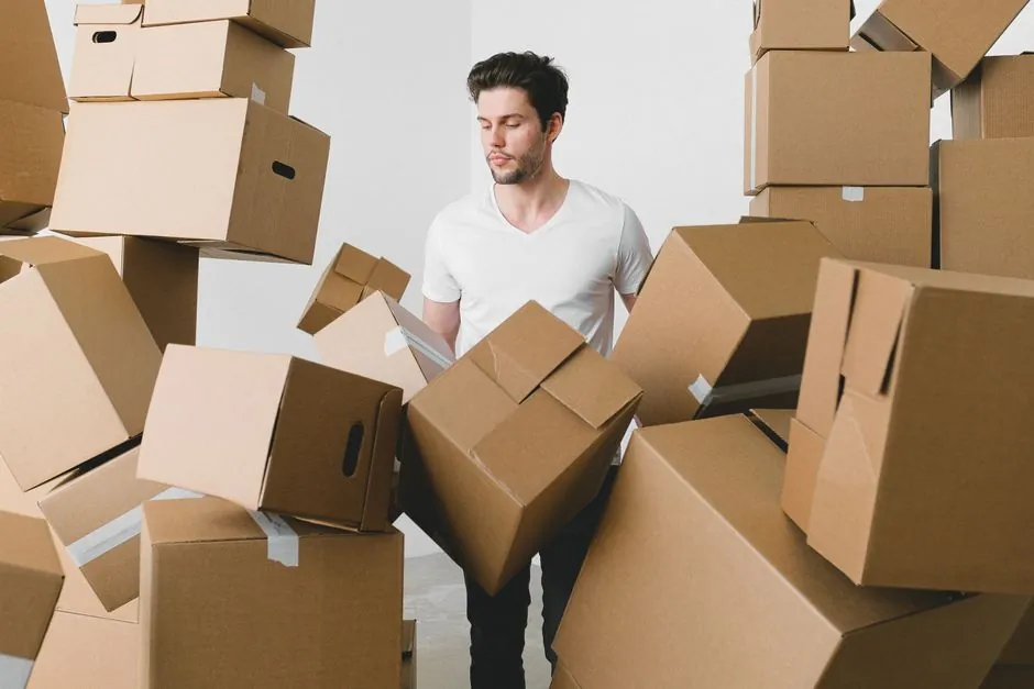 Carton Box Selection for Food and Beverage: Board, Closure, Compliance