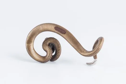 case-hardened ground worm vs through-hardened worm shaft - Module, Size, and Accuracy Mapping