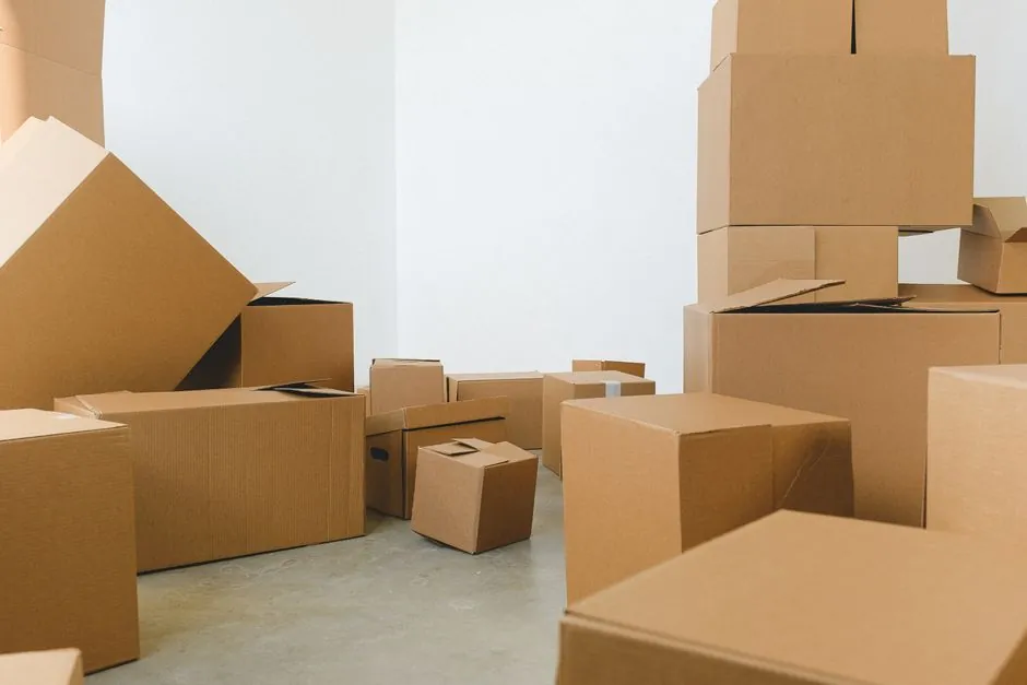 Case Packing Machine Sizing and Selection: A Spec-Anchored Guide