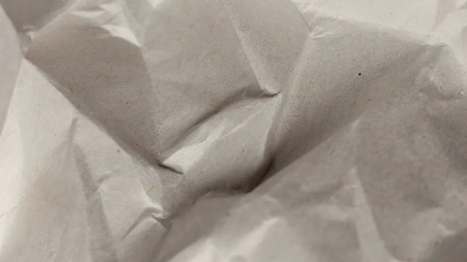 Choosing a Mold Base for Pulp and Paper: Materials, Methods, and Selection Criteria