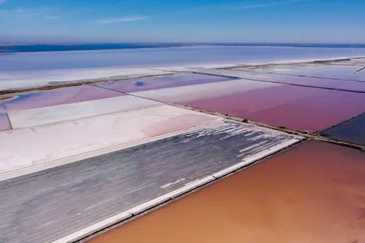 cobalt sulfate competitive landscape 2026 - Unit operations that lock in spec and yield