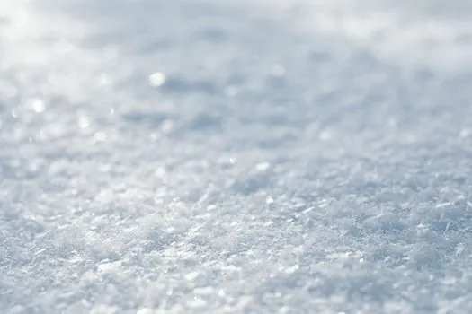 Stretch Film selection for cold chain logistics - Use cases across frozen, chilled and pharma