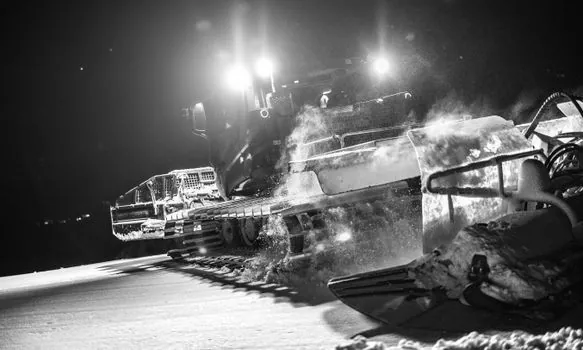 Cold Milling Machine selection for forestry - Standards, sourcing, and what to ask the dealer