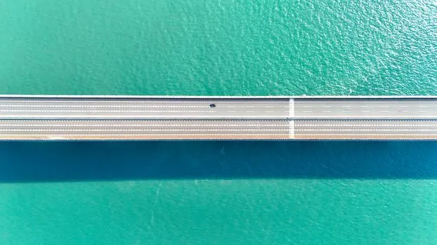 compression seal vs cast-in waterstop for bridge expansion joints - Common Failure Modes and What Specs Should Demand