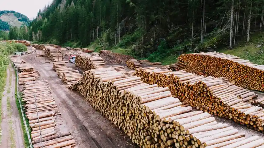 Concrete Batching Plant Selection for Forestry Roads and Yards
