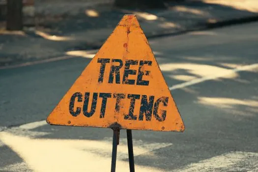 CSA Z195 green triangle vs ASTM F2413 ratings - Limitations and Failure Modes