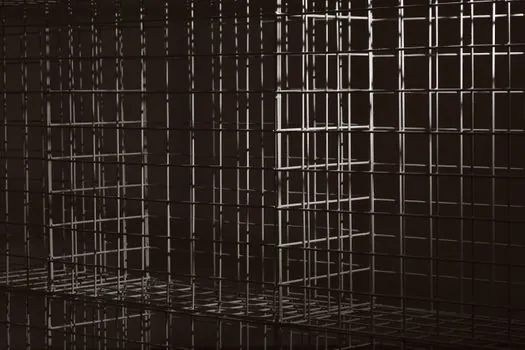 Storage Cage selection for pharmaceutical distribution - Decision Criteria: Cage, Vault, or Temperature-Controlled Suite
