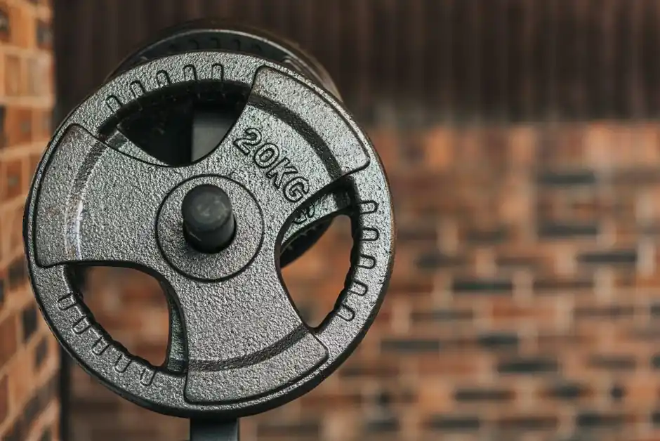 Disc Coupling Rated Torque vs Peak Torque: Sizing and Selection Map