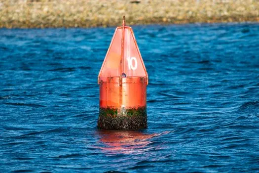 Dissolved Oxygen Meter sizing and selection guide - Housing, IP Rating, and Field Duty