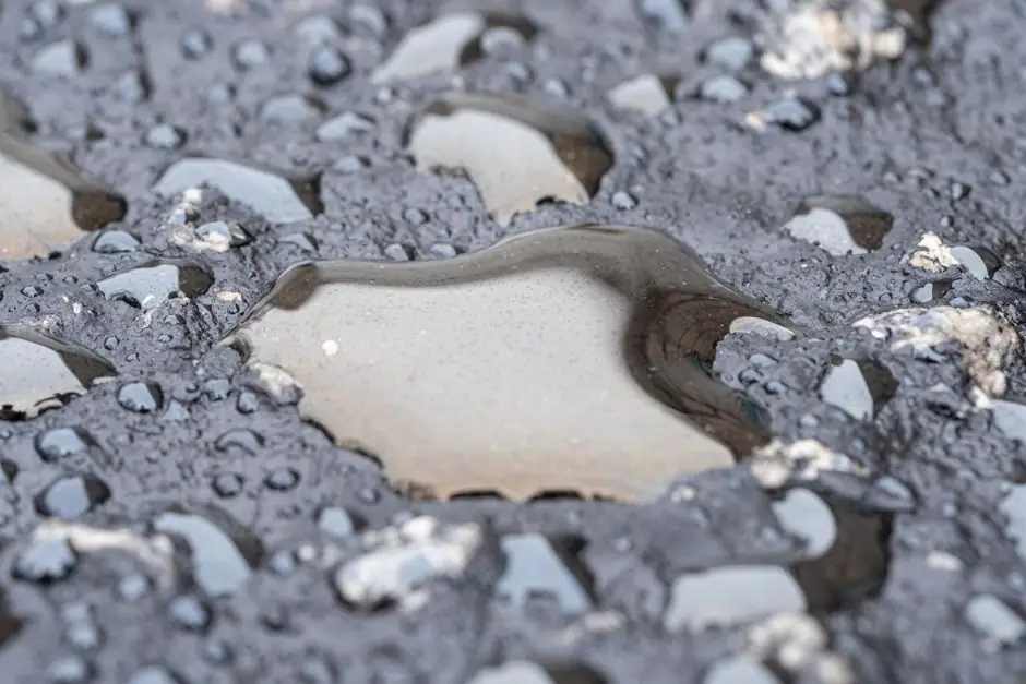 EPDM-based TPV vs vulcanized EPDM seals: 2026 selection guide