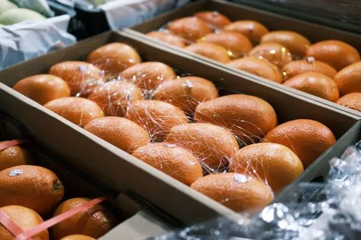 Turnover Box selection for food and beverage - Selection criteria for F&B lines