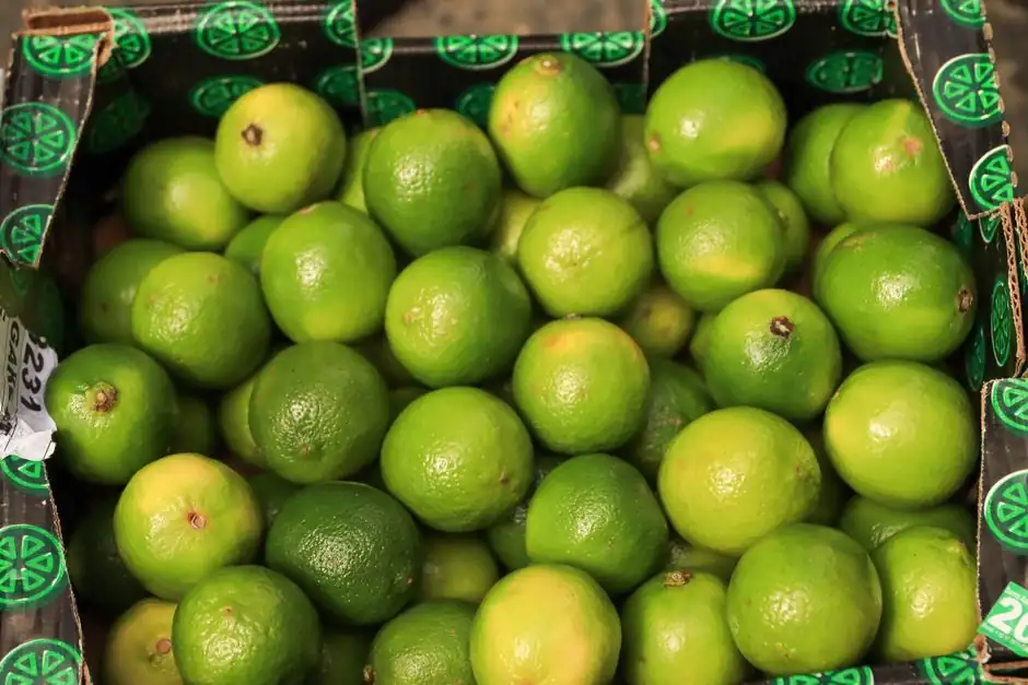 Food-Grade Turnover Box Selection: Material, Load, and Stack Specs