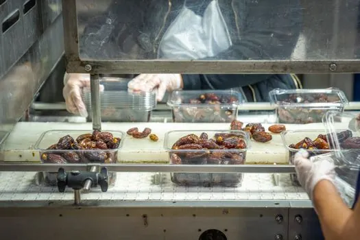 food processing equipment competitive landscape 2026 - Application Mix: Bakery Leads, Beverages Large, Meat/Poultry Steady, Fruits &