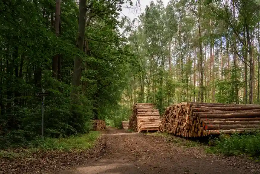 Forestry Road Roller Picks: Specs, Drum Type, and 2026 Selection Logic
