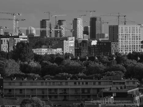Tower Crane selection for forestry - Selection criteria mapped to forestry lift cases