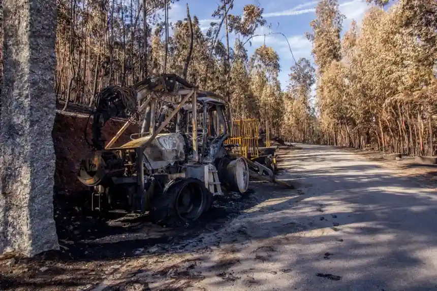Forklift Maintenance in Forestry: Daily Checks, Forestry Wear Items, and OSHA 1910.178