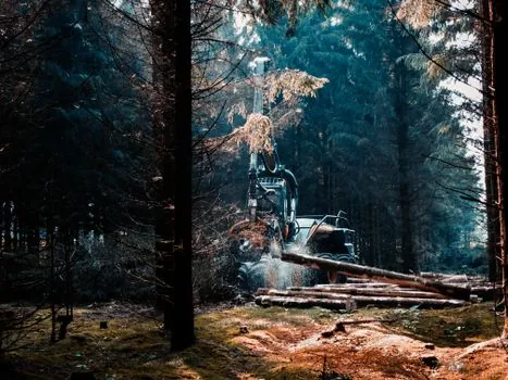 Forklift maintenance practices in forestry - Documentation, Operator Training, and What an Auditor Will Ask For
