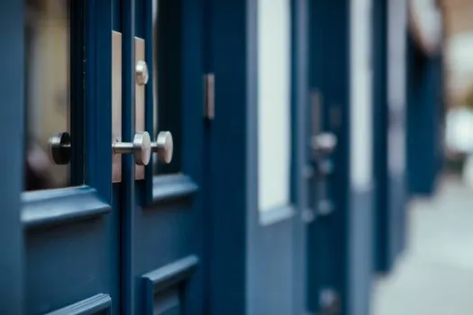 graphite vs sodium silicate intumescent seals on fire doors - What Goes Wrong: Mismatches and Field Failure Modes