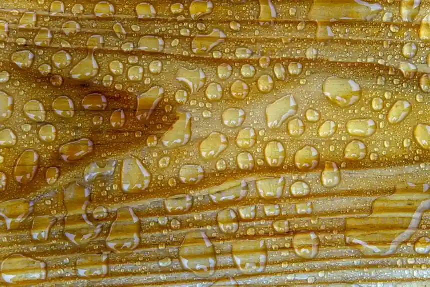 Hot Melt vs Solvent Contact Adhesive: Open Time Decision Guide