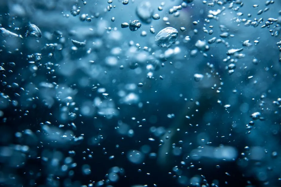 How to Choose a Dissolved Oxygen Meter: Sensor, Body, Output