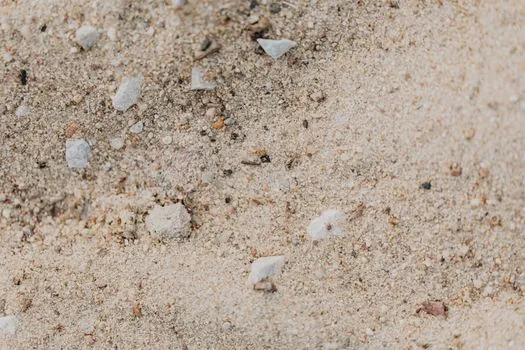 how to choose a Sand Blasting Machine - Abrasive Media by Substrate