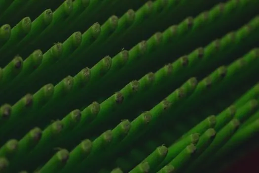 industrial brush suppliers and manufacturers - Filament and Form Factor: The Real Selection Criteria