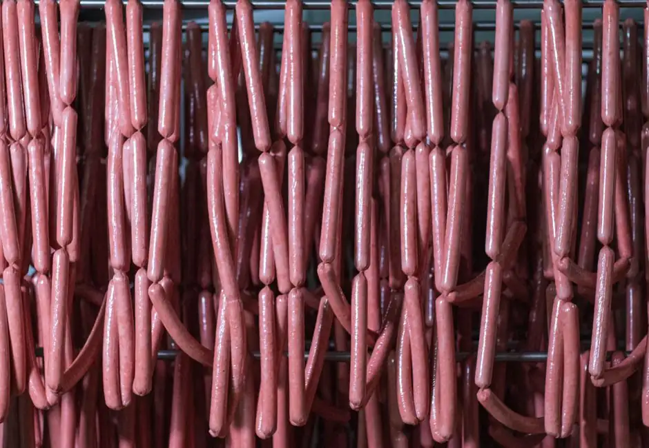 Lead Screw Selection for Food Processing: Material, Lubrication, and Washdown Gates