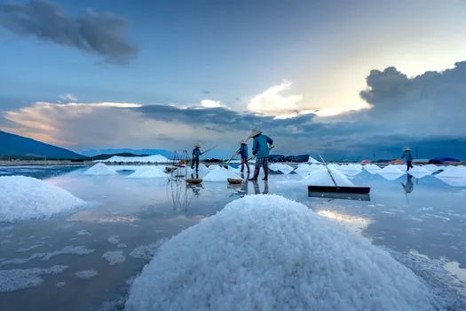 lithium hydroxide demand forecast 2026-2030 - Competitive Landscape: Top Producers by Share and Tier-1 Purity Suppliers