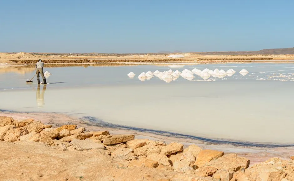 Lithium Procurement Strategy: Five Gates for Spec-Driven Buyers in 2026