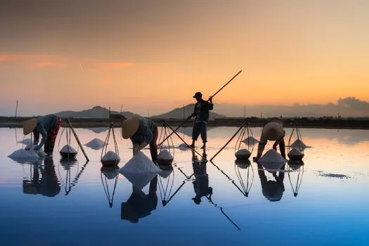 lithium raw material sourcing guide - Who Lithium Sourcing Is For, and Who Should Skip It