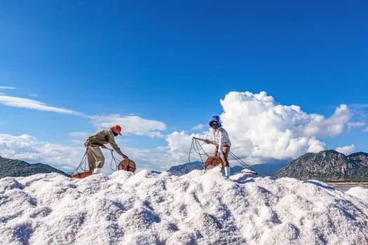 lithium top exporting countries - Who each lithium exporter is for, and who it is not