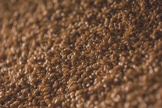 MEA production yield and catalyst coating uniformity - Standards, Sourcing, and What to Track Next