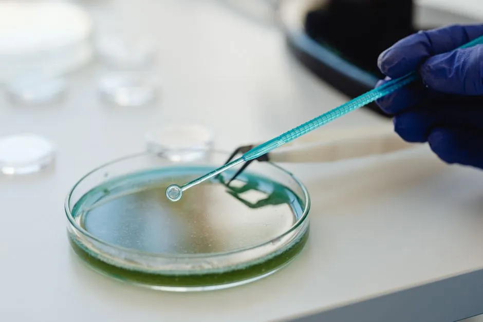 Metal Powder Characterization: PSD, Morphology, and Flow Tests for AM Feedstock