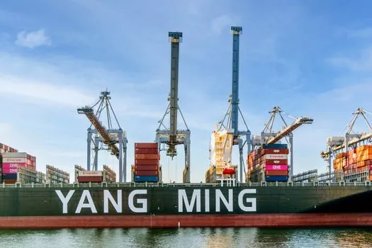 molybdenum supply chain analysis 2026 - ESG, Due Diligence, and the IMOA Briefing
