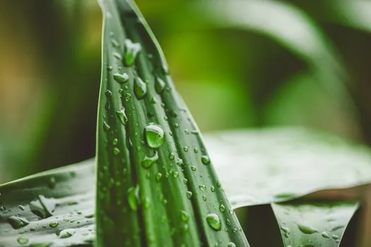 Nylon (PA) types and classifications - Selection Criteria: Moisture, Heat, Chemistry, and Process