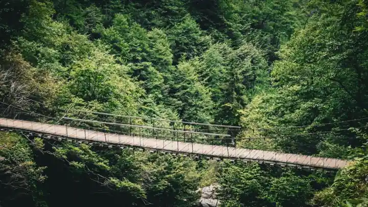 Overhead Bridge Crane Selection for Forestry: Capacity, Class, and Span Map