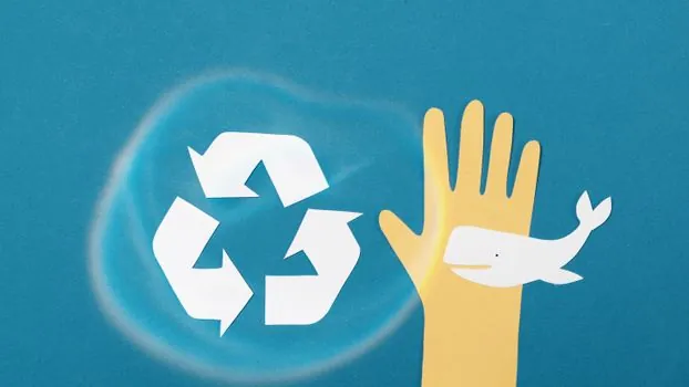 can paper strapping band replace polypropylene for recyclable banding? - Recyclability and end-of-life routing