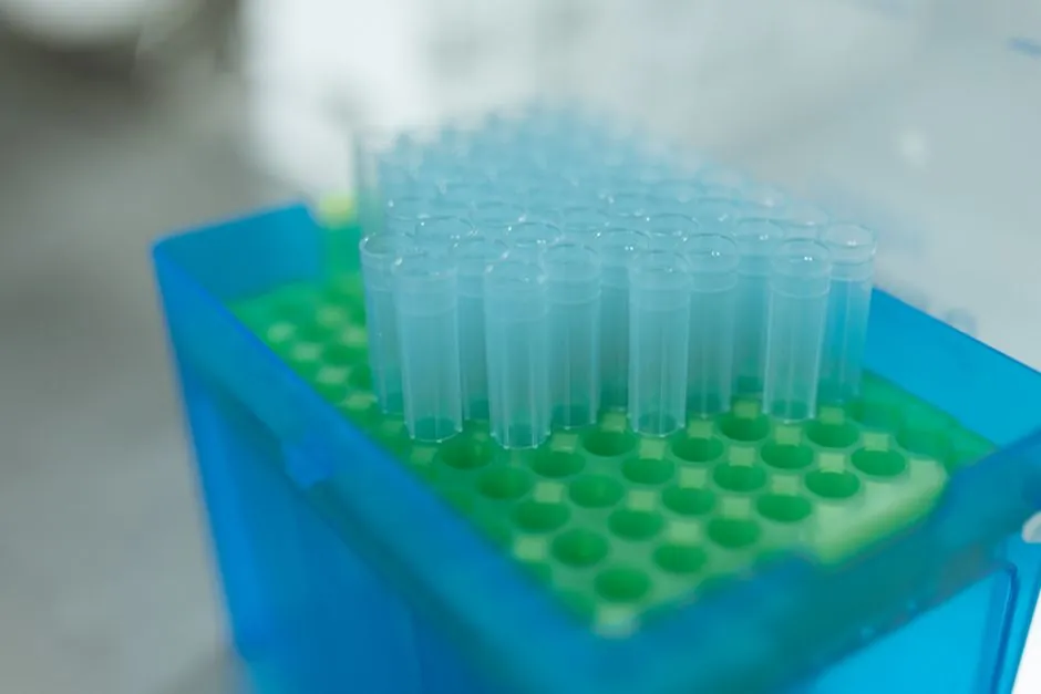 Plastic Pallet Selection for Chemical Shipping: A Spec-First Map