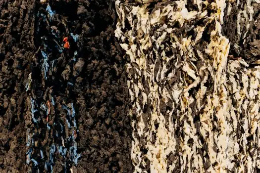 polymeric flame retardant replacing HBCD in foam insulation board - Criteria-based comparison: polymeric FR vs the alternatives that exist or don&#x